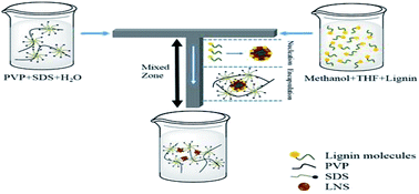 Graphical abstract: Continuous production of lignin nanoparticles using a microchannel reactor and its application in UV-shielding films