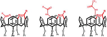 Graphical abstract: Synthesis of upper rim-double-bridged calix[4]arenes bearing seven membered rings and related compounds