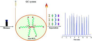 Graphical abstract: Star-poly(ε-caprolactone) as the stationary phase for capillary gas chromatographic separation