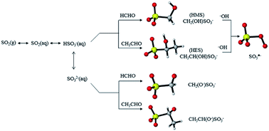 Graphical abstract: A theoretical study on the formation and oxidation mechanism of hydroxyalkylsulfonate in the atmospheric aqueous phase