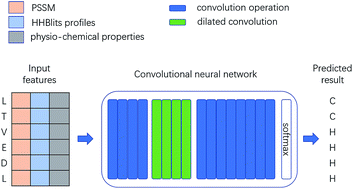 Graphical abstract: Protein secondary structure prediction with context convolutional neural network