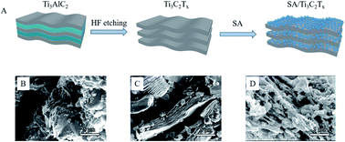 Graphical abstract: Mxene/alginate composites for lead and copper ion removal from aqueous solutions