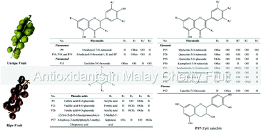 Graphical abstract: Deciphering the nutritive and antioxidant properties of Malay cherry (Lepisanthes alata) fruit dominated by ripening effects