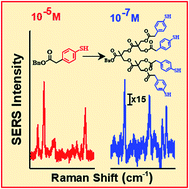 Graphical abstract: Designing dendronic-Raman markers for sensitive detection using surface-enhanced Raman spectroscopy