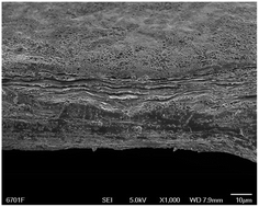 Graphical abstract: The effect of proton irradiation on the properties of a graphene oxide paper