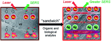Graphical abstract: Sandwiching analytes with structurally diverse plasmonic nanoparticles on paper substrates for surface enhanced Raman spectroscopy