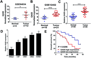 Graphical abstract: LncRNA GAS5 facilitates nasopharyngeal carcinoma progression through epigenetically silencing PTEN via EZH2