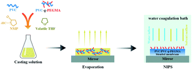 Graphical abstract: Effect of volatile solvent and evaporation time on formation and performance of PVC/PVC-g-PEGMA blended membranes