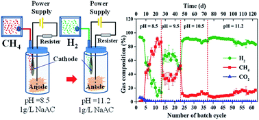 Graphical abstract: Improved hydrogen production in the single-chamber microbial electrolysis cell with inhibition of methanogenesis under alkaline conditions