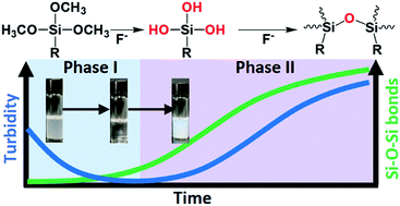 Graphical abstract: Kinetics of fluoride-catalysed synthesis of organosilica colloids in aqueous solutions of amphiphiles