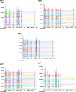 Graphical abstract: Metabolic profiling reveals the heterogeneity of vascular endothelial function phenotypes in individuals at extreme cardiovascular risk