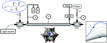 Graphical abstract: Combining autoclave and LCWM reactor studies to shed light on the kinetics of glucose oxidation catalyzed by doped molybdenum-based heteropoly acids