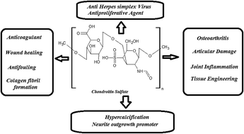 Graphical abstract: Chondroitin: a natural biomarker with immense biomedical applications