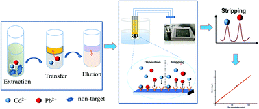 Graphical abstract: A rapid on-site analysis method for the simultaneous extraction and determination of Pb2+ and Cd2+ in cereals