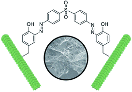 Graphical abstract: Development of improved dual-diazonium reagents for faster crosslinking of tobacco mosaic virus to form hydrogels