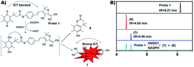 Graphical abstract: A highly selective fluorescent probe for human NAD(P)H:quinone oxidoreductase 1 (hNQO1) detection and imaging in living tumor cells