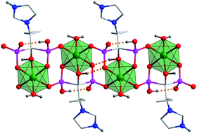 Graphical abstract: Low pH constructed Co(ii) and Ni(ii) 1D coordination polymers based on Cα-substituted analogues of zoledronic acid: structural characterization, and spectroscopic and magnetic properties