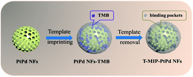 Graphical abstract: Molecular imprinting on PtPd nanoflowers for selective recognition and determination of hydrogen peroxide and glucose