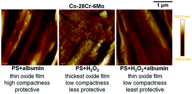 Graphical abstract: Effect of the coexistence of albumin and H2O2 on the corrosion of biomedical cobalt alloys in physiological saline