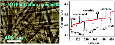 Graphical abstract: Ultrathin nickel-metal–organic framework nanobelt based electrochemical sensor for the determination of urea in human body fluids