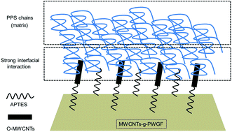 Graphical abstract: Improving interfacial and mechanical properties of glass fabric/polyphenylene sulfide composites via grafting multi-walled carbon nanotubes