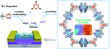 Graphical abstract: One-step solution synthesis of a two-dimensional semiconducting covalent organometallic nanosheet via the condensation of boronic acid