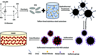 Graphical abstract: Synthesis and characterization of sulfonated mesoporous NiO–ICG core–shell solid sphere catalyst with superior capability for methyl ester production