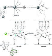Graphical abstract: Synthesis and characterization of a novel CNT-FeNi3/DFNS/Cu(ii) magnetic nanocomposite for the photocatalytic degradation of tetracycline in wastewater