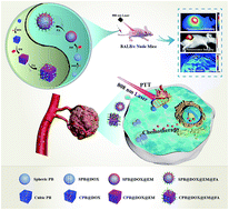Graphical abstract: An erythrocyte membrane coated mimetic nano-platform for chemo-phototherapy and multimodal imaging