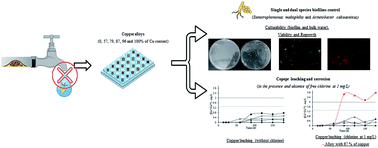Graphical abstract: The role of surface copper content on biofilm formation by drinking water bacteria