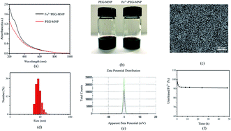 Graphical abstract: A dual-mode nanoparticle based on natural biomaterials for photoacoustic and magnetic resonance imaging of bone mesenchymal stem cells in vivo