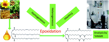 Graphical abstract: Catalytic developments in the epoxidation of vegetable oils and the analysis methods of epoxidized products