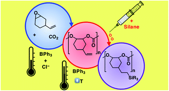 Graphical abstract: Functionalized polycarbonates via triphenylborane catalyzed polymerization-hydrosilylation