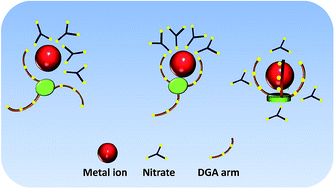 Graphical abstract: Evaluation of two aza-crown ether-based multiple diglycolamide-containing ligands for complexation with the tetravalent actinide ions Np4+ and Pu4+: extraction and DFT studies