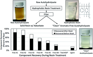 Graphical abstract: Hydrophobic resin treatment of hydrothermal autohydrolysate for prebiotic applications