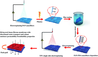 Graphical abstract: Tuning the gradient structure of highly breathable, permeable, directional water transport in bi-layered Janus fibrous membranes using electrospinning