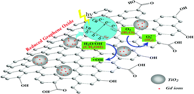 Graphical abstract: Synthesis of 3D flower-like structured Gd/TiO2@rGO nanocomposites via a hydrothermal method with enhanced visible-light photocatalytic activity