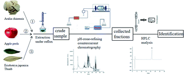 Graphical abstract: Preparative separation of structural isomeric pentacyclic triterpene oleanolic acid and ursolic acid from natural products by pH-zone-refining countercurrent chromatography