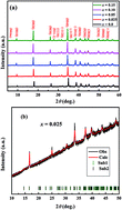 Graphical abstract: Electrical, magnetic and magnetotransport properties of Na and Mo doped Ca3Co4O9 materials