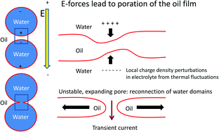 Graphical abstract: Electrocoalescence of water in oil emulsions: a DPD simulation study and a novel application of electroporation theory