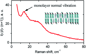 Graphical abstract: Normal vibrations of ternary DOPC/DPPC/cholesterol lipid bilayers by low-frequency Raman spectroscopy
