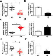 Graphical abstract: Retracted Article: Long non-coding RNA TUG1 alleviates high glucose induced podocyte inflammation, fibrosis and apoptosis in diabetic nephropathy via targeting the miR-27a-3p/E2F3 axis