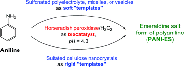 Graphical abstract: Effect of template type on the preparation of the emeraldine salt form of polyaniline (PANI-ES) with horseradish peroxidase isoenzyme C (HRPC) and hydrogen peroxide