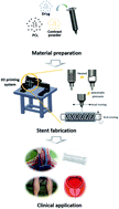 Graphical abstract: Development of a radiopaque, long-term drug eluting bioresorbable stent for the femoral-iliac artery