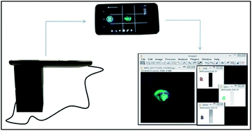 Graphical abstract: Development of miniaturized fluorimetric device for caffeine determination using a smartphone