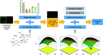 Graphical abstract: Process optimization of Syringa oblata Lindl. by response surface methodology and its effect on Staphylococcus xylosus biofilm