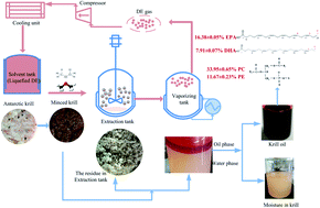Graphical abstract: Extraction of oil from wet Antarctic krill (Euphausia superba) using a subcritical dimethyl ether method
