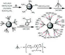 Graphical abstract: Branched polyethyleneimine-assisted 3-carboxybenzoboroxole improved Wulff-type boronic acid functionalized magnetic nanoparticles for the specific capture of cis-diol-containing flavonoids under neutral conditions