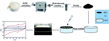 Graphical abstract: Platinum nanoparticles decorating a biomass porous carbon nanocomposite-modified electrode for the electrocatalytic sensing of luteolin and application