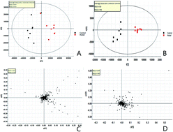 Graphical abstract: High-throughput untargeted metabolomics and chemometrics reveals pharmacological action and molecular mechanism of chuanxiong by ultra performance liquid chromatography combined with quadrupole-time-of-flight-mass spectrometry